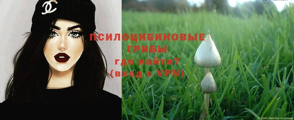 ешки Аркадак