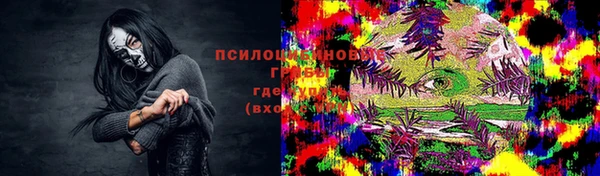 ешки Аркадак